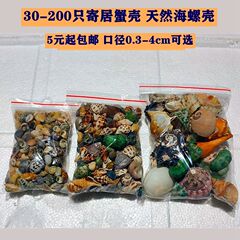 口径0.3-4cm カニ交換用シェル 天然巻貝 水槽水硬度調整 ph 硝化菌ビーンズ