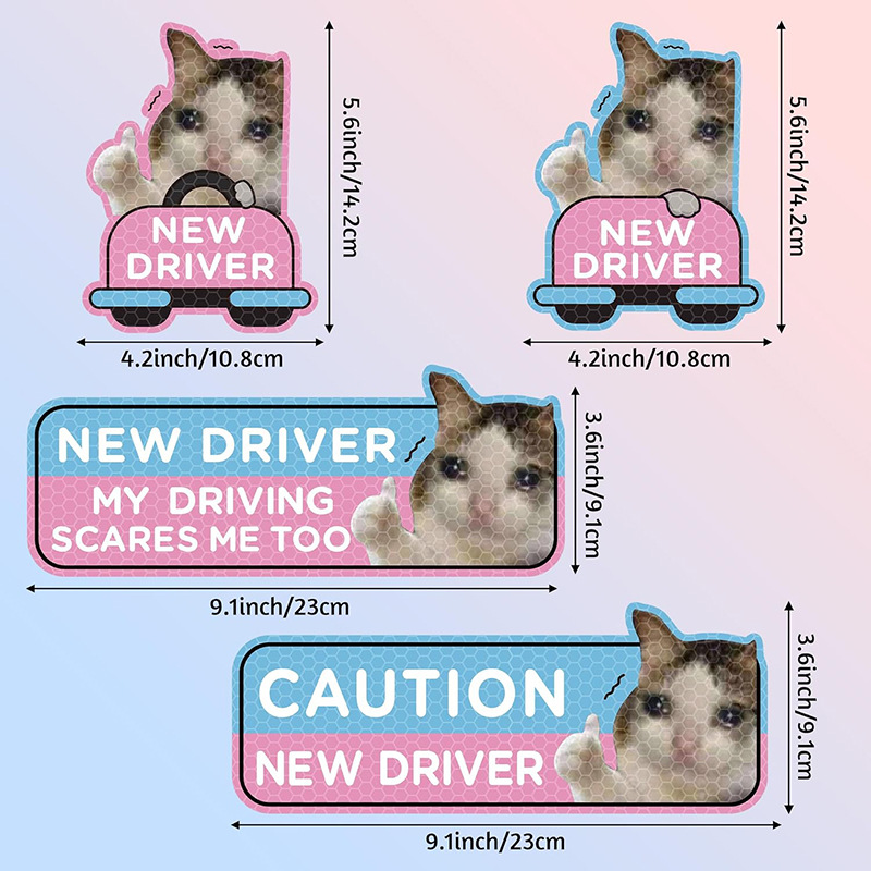 주문형 맞춤형 스타일 6