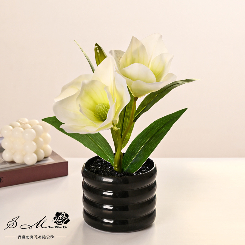 Dos flores y una fruta sensación de imitación de flores en maceta de magnolia, decoración de plantas verdes en el hogar, sala de estar, pequeñas flores de bonsai image 4