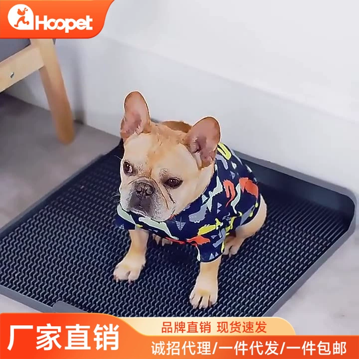 Собачий туалет золотистый ретривер для предотвращения наступления мочи