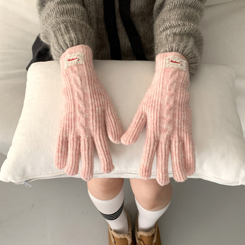 Touchscreen Thickenable Warm Gloves for Women - Winter Korean Style, Ins Knitted Outdoor Riding Cold-Proof Blue Split-Finger Gloves