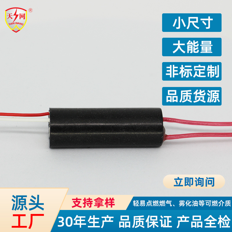 TW-1903 accesorios de equipos de seguridad pequeño encendedor Paquete de alta tensión de tamaño pequeño generador de alta tensión Módulo de alta tensión