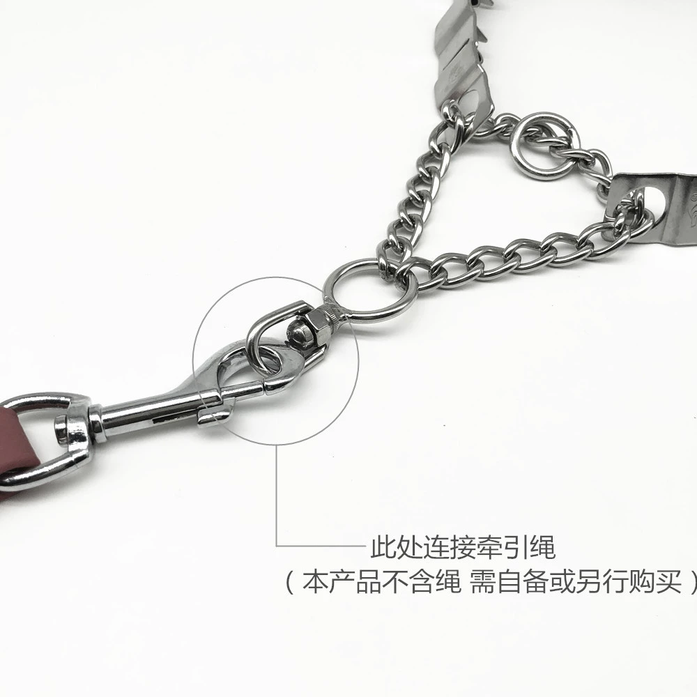 Собака P-цепь из нержавеющей стали Стимулирующий воротник цепи управления шеей