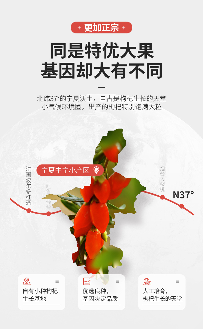Ningxia Goji Berries 50g Bag Premium First Harvest Dried Wolfberry Ready to Eat specifications