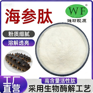 ������98% ���������� �F؛��������С�����ķۺ����;��ĺ�����