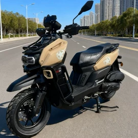 两轮摩托车;电动摩托车;正三轮摩托车