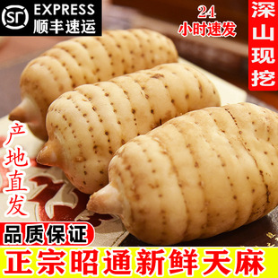 �����ͨ���r����Ұ���ؼ�С�݉Ξ�������ș����Ʒ���F�ݸ�؛Ƭ��