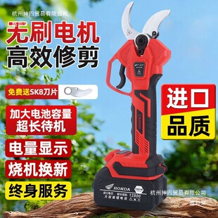 �ձ��M����������늄Ӽ������@��֦������֦�o��
