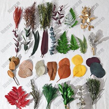 �����~�Ӹɘ��~�S���~�ȼ����~녘�����~diy�ֹ��˱�������