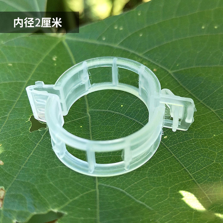 扶蔓夹绑蔓夹吊秧卡扣绿植夹藤蔓固定夹辣椒茄子固定器秧苗植物夹详情10