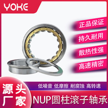 NUP204 NUP205 NUP206 NUP207 NUP208 NUP209 E EM ALS