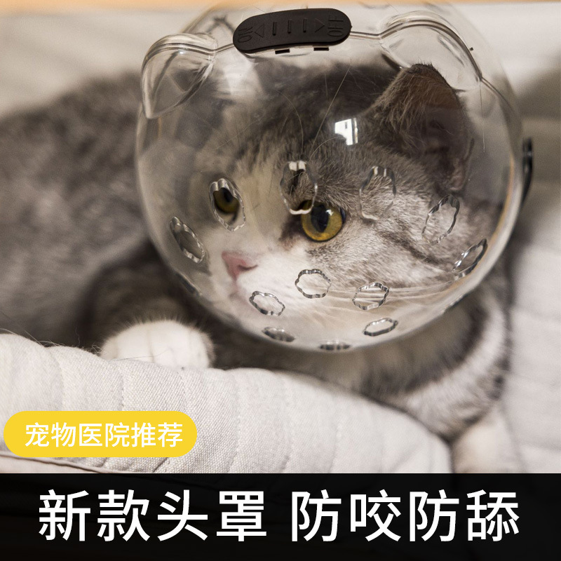 猫头套防咬猫咪太空头罩洗澡剪指甲防抓防宠物伊丽莎白项圈防护