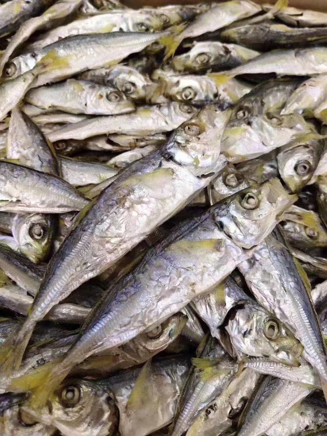 d2dbcc1105e89587105ba95808bb31