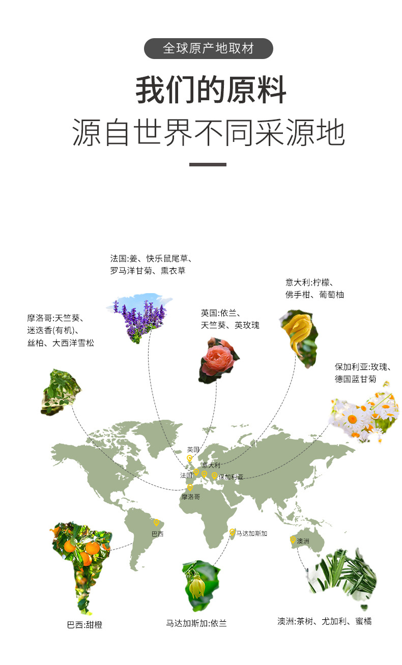 中文版跨境香薰单方精油_12.jpg