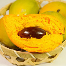 ���r�u���� ���/���ϵ��S���{�^���Ꭷˮ�������Ŵ