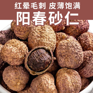 ����ꖴ���ɰ����ș�Ĳ�șʯ��ɰ������Ƭ����500�����l��؛�F؛