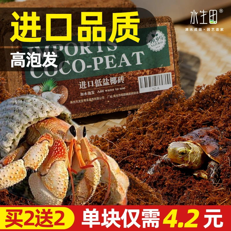 Кокосовый кирпич, лазающий краб-отшельник