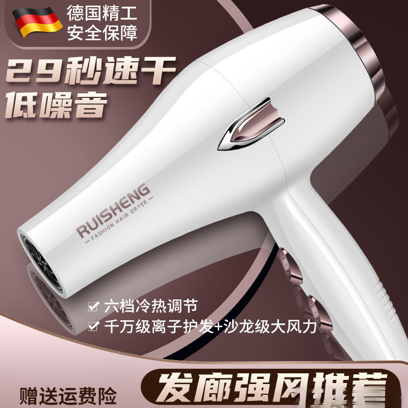 German Hairstylist Hair Dryer Hair Salon High-Power Household Strong Wind Hot and Cold Air Blue Light Negative Ion Hair Care Roll Free Shipping