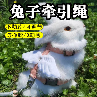 Rabbit Leash for Dwarf Rabbits, Anti-Escape Retractable Leash for Walking Rabbits, Bite-Resistant, Suitable for Small Lop-Eared Rabbits, Outdoor Leash with Rope