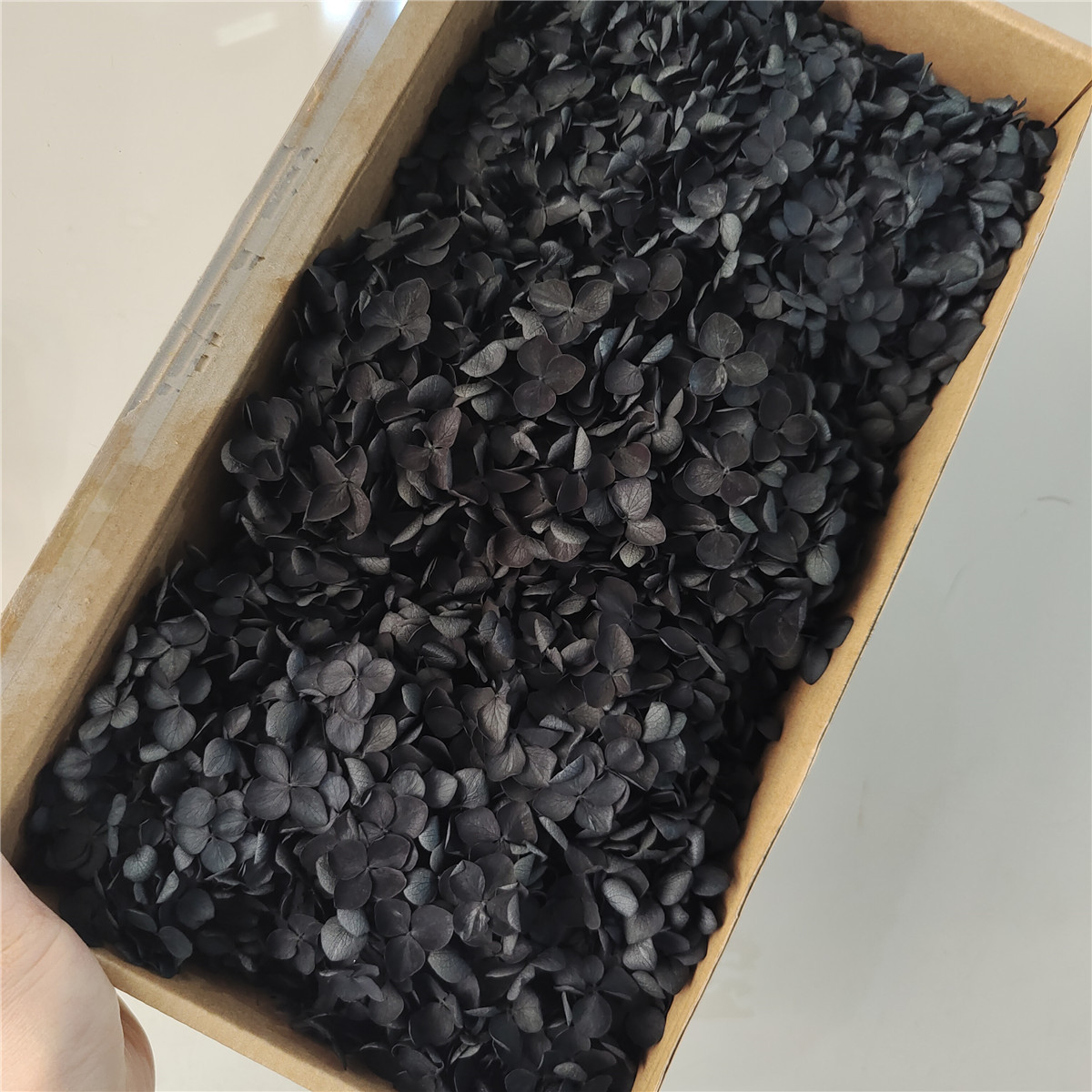 Flor eterna Hortensia Anna pequeña hoja flor seca flor real árbol de Navidad ventilador hecho a mano ramo DIY material paquete flor