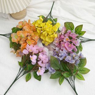 �����ָ��zƬС���Ļ��Ҿӻ�c�bzӰ�������߶˿羳���u�S��