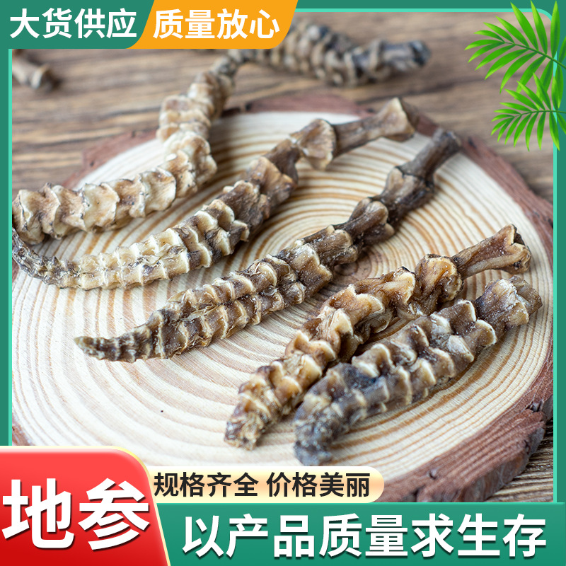 供应跑江湖地摊展销会地参 批发农产品散装新鲜虫草参量大从优