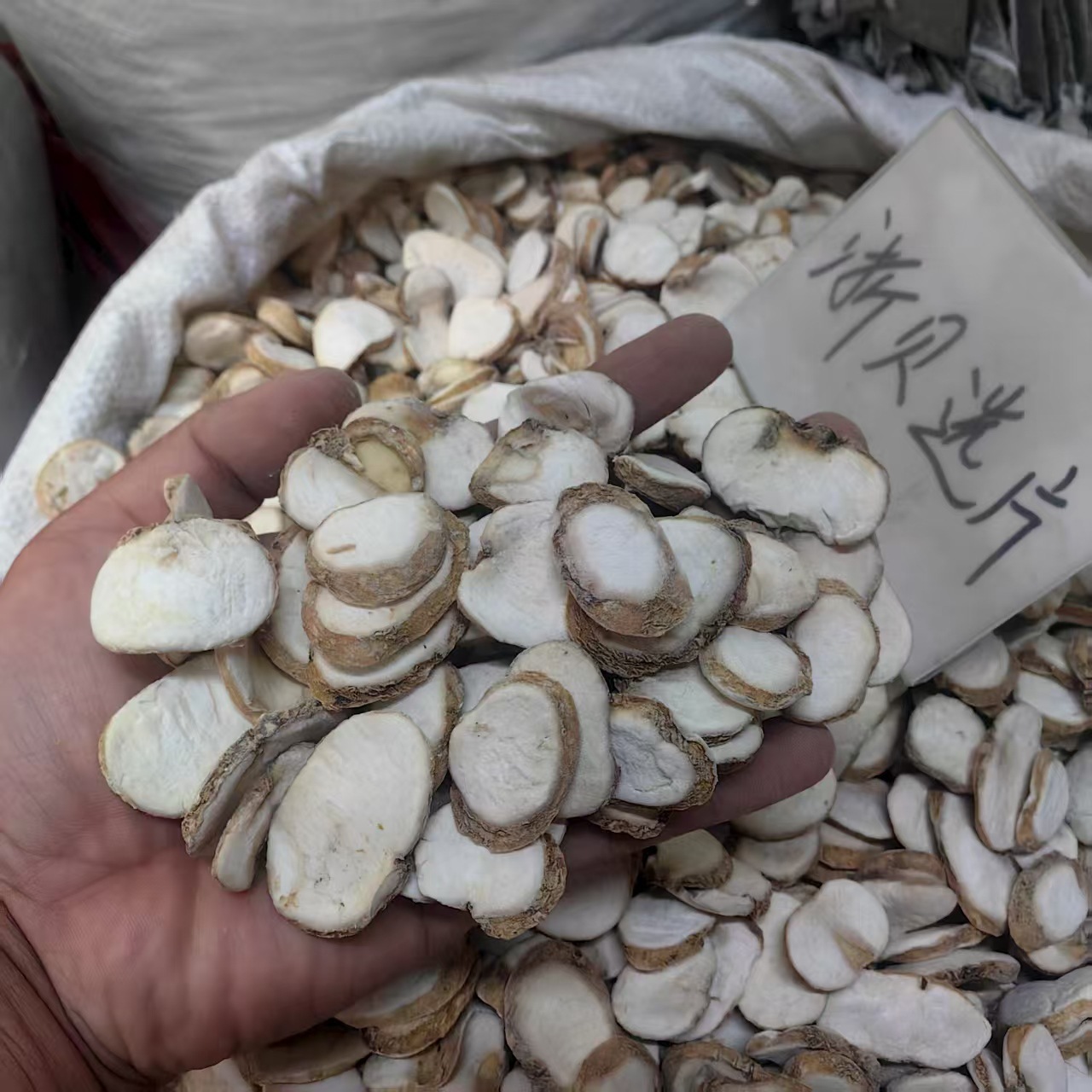 Zhejiang Fritillaria Bulbus Zhe Bei Mu Powder 500g Traditional Herbal Ingredient key features