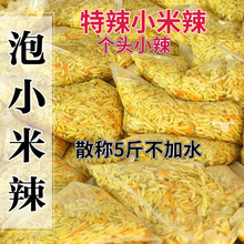 С�����ݽ����l�ݽ�Ұɽ������ɢ�Q���~���ˮ���������ؑc�Ĵ�