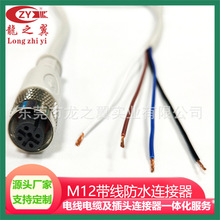 �S�Ҷ���M12���I��ˮ�B�������|  �A�ν����B���� �������B�Ӿ�