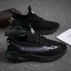 Welfare model: black