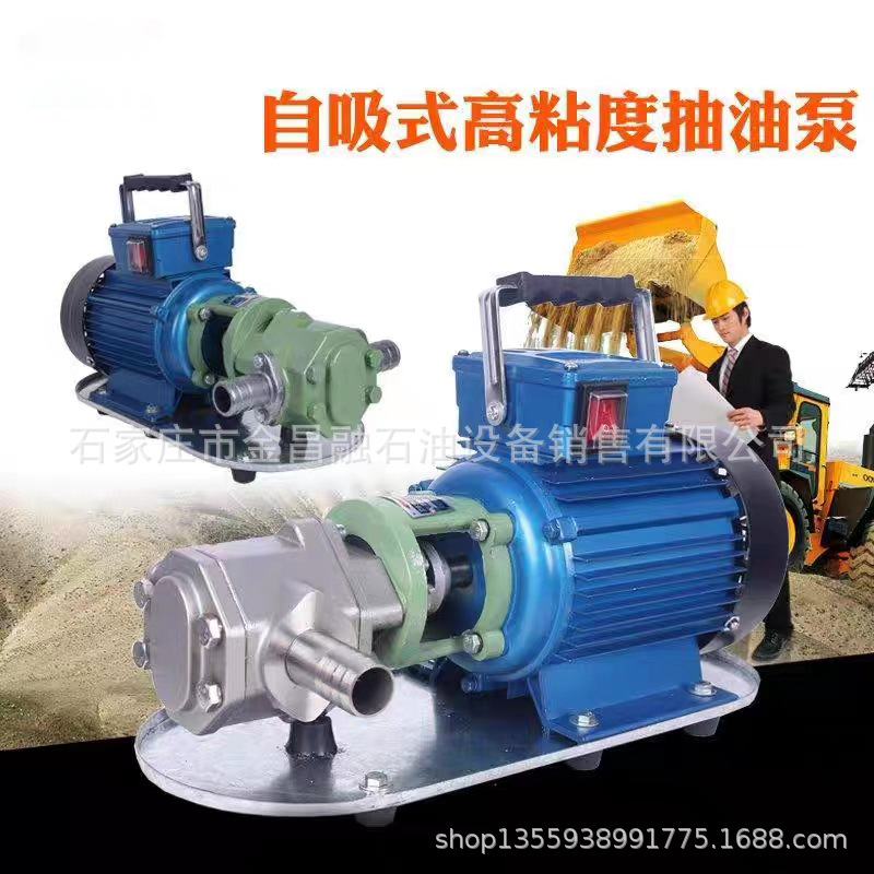 WCB齿轮油泵220伏380伏防爆油泵铜齿轮柴油液压油机油抽油泵