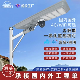 太阳能灯;道路照明灯;投光灯