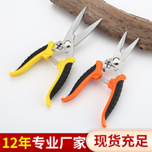 �羳ժ����늹������P䓼������ÏN����@ˇ�����I���ü����ü���