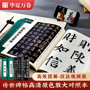 �A���f�������������ԭɫ�Ŵ��ձ�ë�P������Ӗ�ۺ��ߌ�������