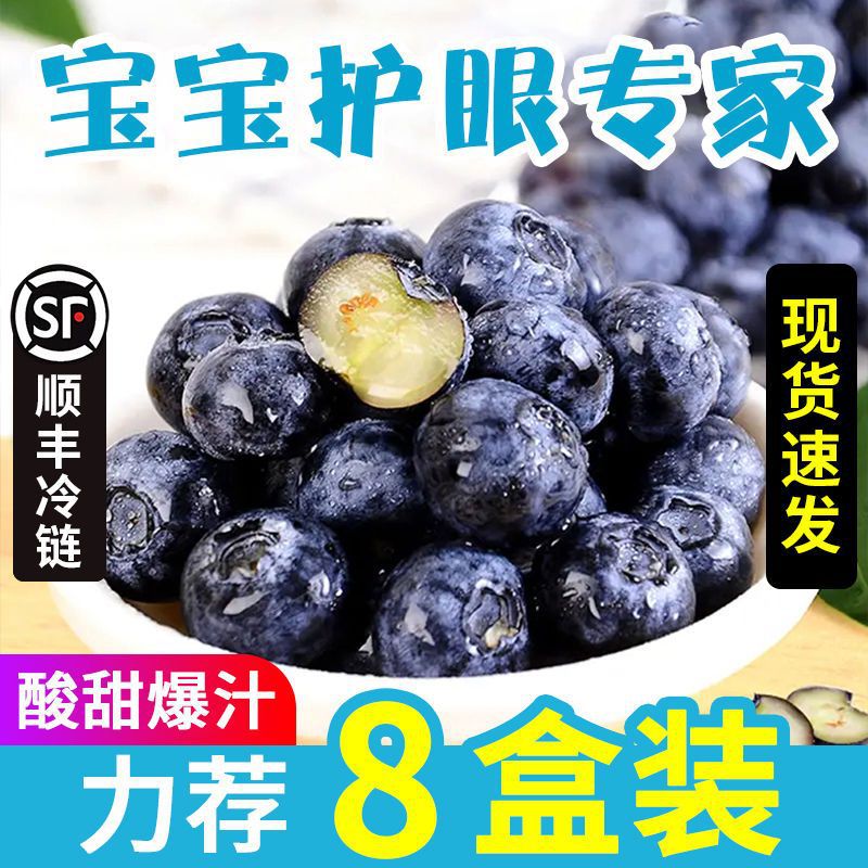 Blueberry Selection 3A Peru fresh Fresh fruit 8 Trade price Full container Season pregnant woman fruit Manufactor On behalf of