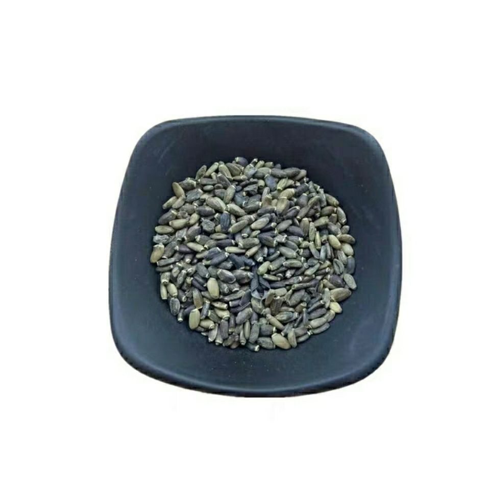 Milk Thistle Seed Shui Fei Ji 水飞蓟 Dried Silybum Marianum Herbal Slices for Decoction and Tea 2000g in use