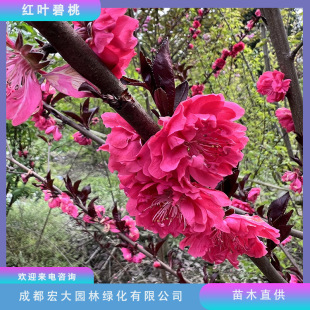 �����������~�t�~���һ������l5������12�����һ�����G��������