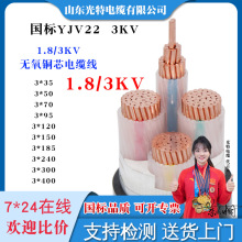 ������ȼZC-YJV22����1.8/3KV�߉���|6KV 3 5о��о3X70 300ƽ��