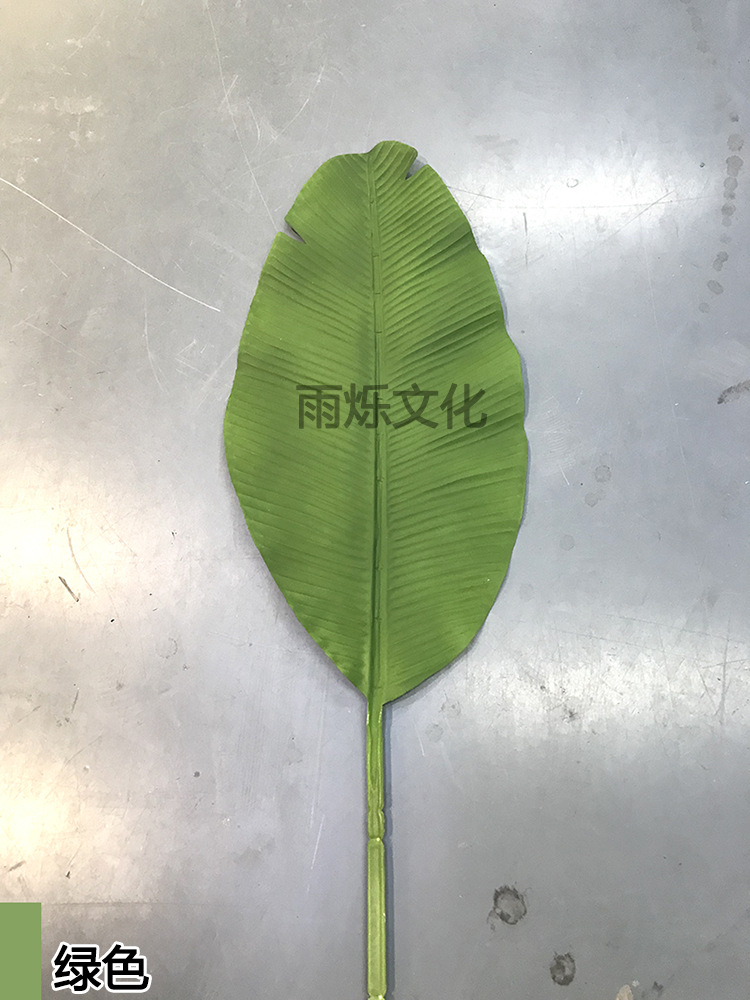 绿色.jpg