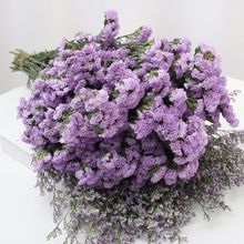 云南鲜花勿忘我干花花束小清新家居摆件客厅插花天然真花基地直发