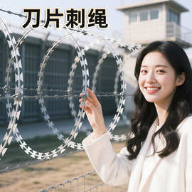 别墅热镀锌刀片刺绳学校围墙防爬刺防锈铁蒺藜监狱防盗网钢丝绳