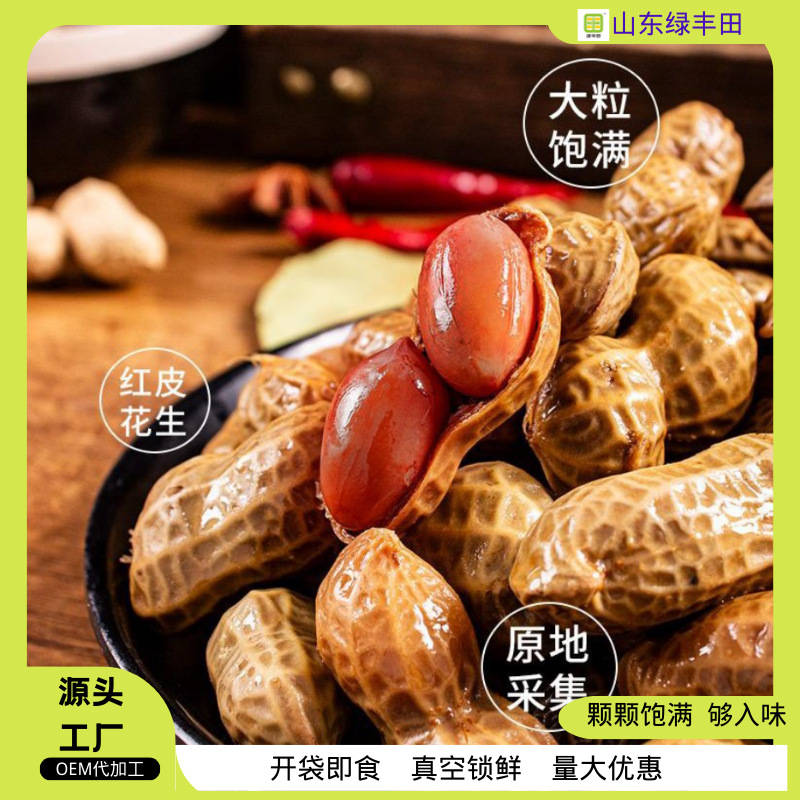 五香卤水水煮带壳花生盐水卤汁花生夜宵下酒菜休闲零食卤煮真空