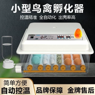 全自动智能孵化机孵鹅鸽子芦丁的孵蛋器孵鸡鸭山鸡的孵化箱现货