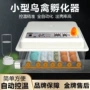 智能自动山鸡芦丁孵化机