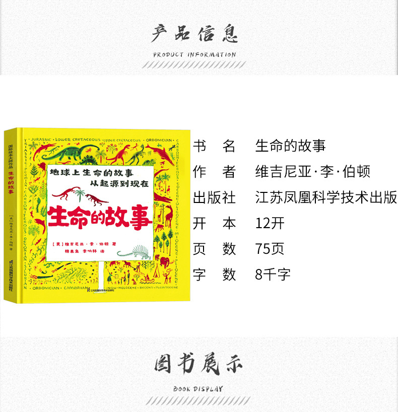 详情图