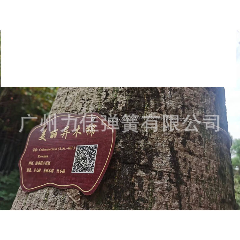 公园名牌固定弹簧,扭力弹簧,双扭弹簧,异型弹簧,小精密弹簧