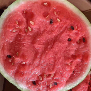 8424����o���������ϷN�Ѵ�ȫ�N��ˮ���Ϲ�С�Ϸ����ϷN��