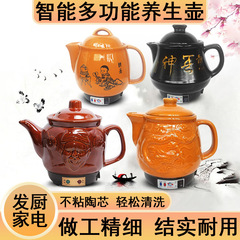 药罐家用中药壶煎锅养生煲全自动中药电煎壶专门熬中药砂锅煎药壶