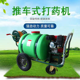 高压消毒喷雾果树器打药车农药式汽油手推车小型农用160L打药机