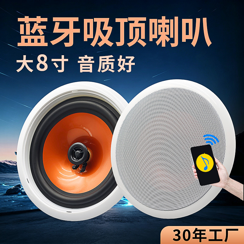 Altavoz Bluetooth de Techo de 8 Pulgadas Metal y ABS Sonido Envolvente 3D para Hogar